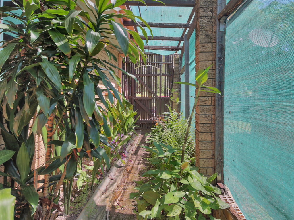 113 Bankside Street, Nathan - Thumbnail 2