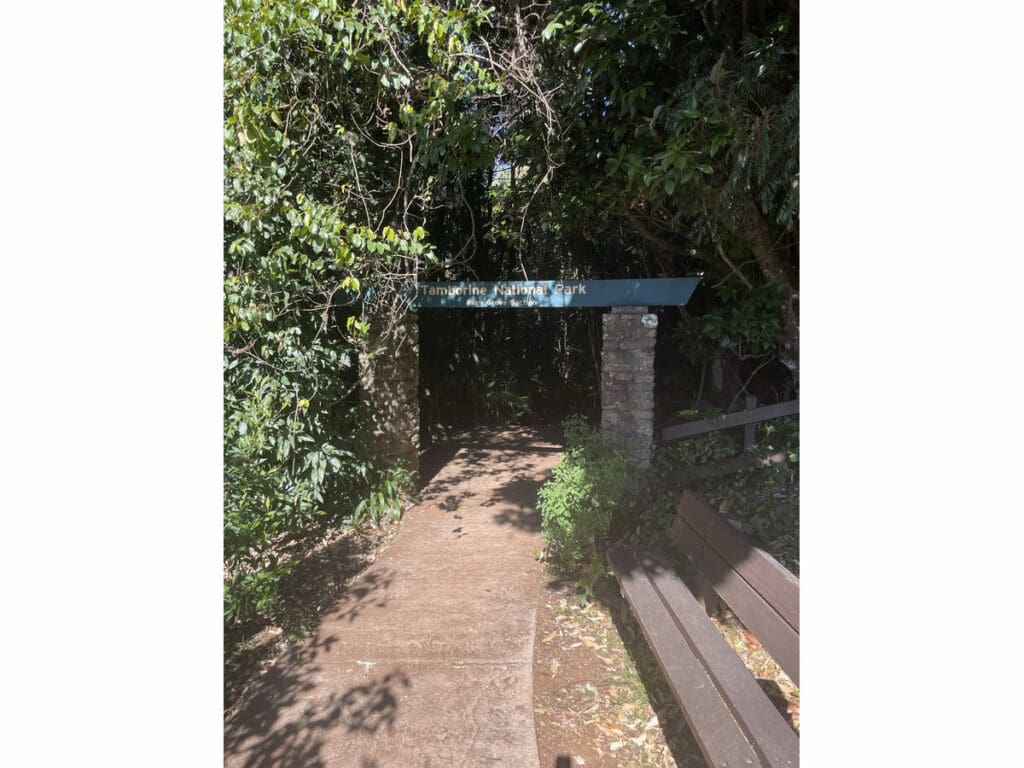 21-23 Palm Grove Avenue, Tamborine Mountain - Thumbnail 2